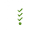 Written Practice icon